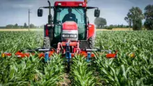 Réalisé en bonnes conditions, un binage peut remplacer la deuxième intervention herbicide, souvent nécessaire pour obtenir un résultat correct.