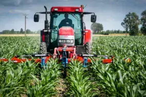 Réalisé en bonnes conditions, un binage peut remplacer la deuxième intervention herbicide, souvent nécessaire pour obtenir un résultat correct.