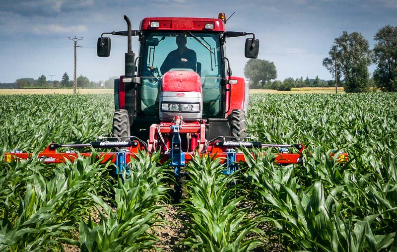 Réalisé en bonnes conditions, un binage peut remplacer la deuxième intervention herbicide, souvent nécessaire pour obtenir un résultat correct. - Illustration Désherbage du maïs : intervenir tôt est un gage de réussite