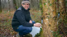 Thierry Brochain a conservé un travail de négoce en légumes mais la société réalise aujourd'hui 70 % de son chiffre d'affaires grâce à la vente de sève de bouleau.