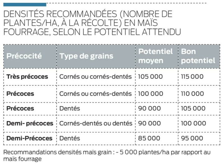 densite-semis-mais