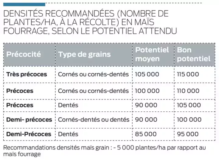 densite-semis-mais