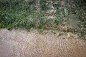 L’érosion peut devenir très forte en cas de fortes précipitations. Un sol bien couvert retient la terre et l’eau. © Arvalis, Institut du Végétal.