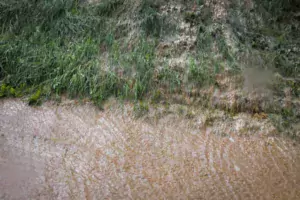 L’érosion peut devenir très forte en cas de fortes précipitations. Un sol bien couvert retient la terre et l’eau. © Arvalis, Institut du Végétal.