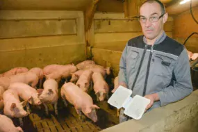 « J’observe une meilleure ambiance dans les bâtiments », estime Xavier Brulé, producteur de porcs à Hillion (22).