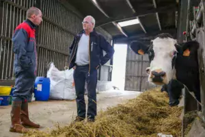 Vincent Guillou s’est adressé à Jacques Cosmao, de Cultivert, pour le conseiller dans l’achat du tapis Zig Zag.