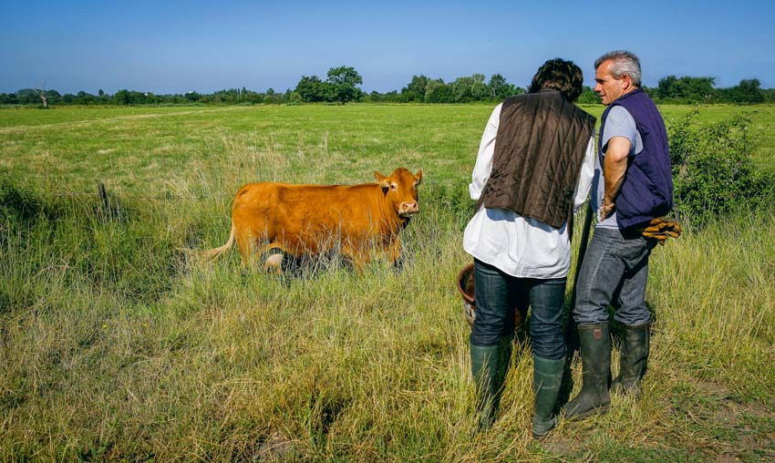 Les IJ sont mises en place au titre de l’Assurance maladie des exploitants agricoles (Amexa) et représentent une réelle avancée pour les agriculteurs et les non-salariés agricoles. - Illustration 21,11 € d’indemnités journalières pour les agriculteurs