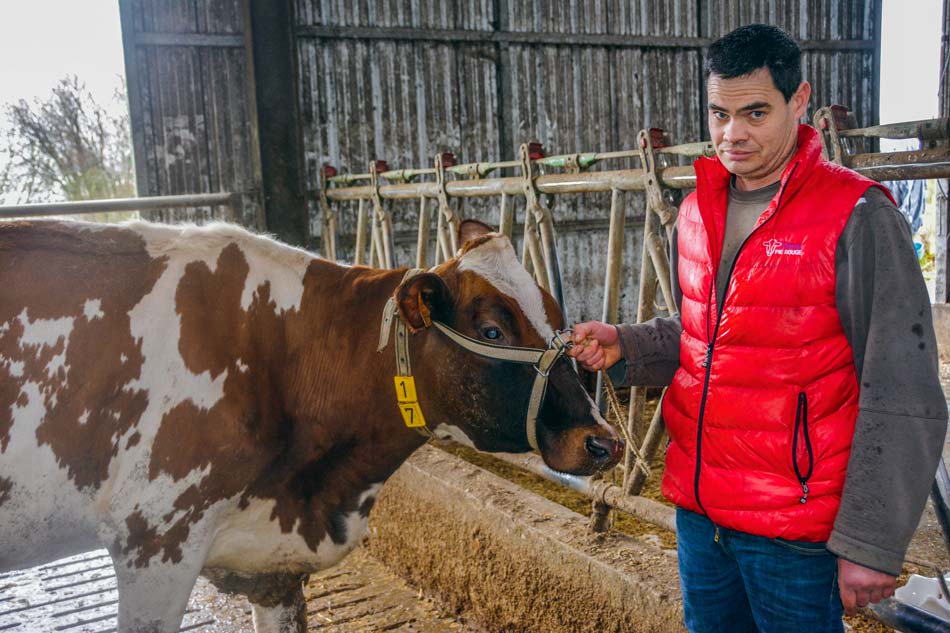 Xavier Rannou est un habitué des concours. Il présentera une dizaine d’animaux de son élevage au concours. - Illustration Pie Rouge : les meilleurs Français seront à Morlaix