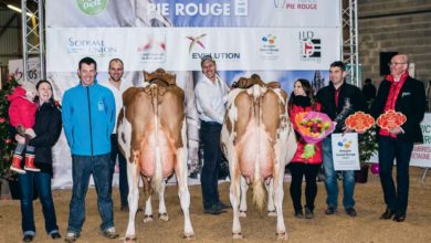 Photo of Agri Deiz : Iliade au sommet
