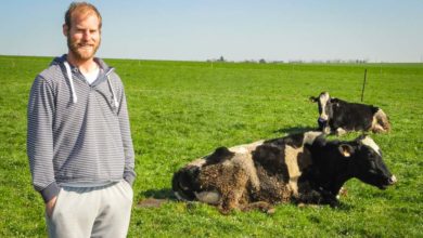 Photo of Un volume de lait dicté par le système herbager