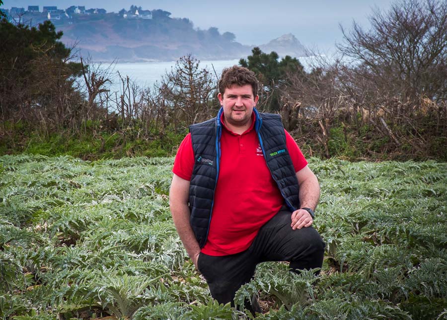 Tanguy Rousseau a rejoint le Gaec de Traou-Hoat à Trélévern (22) en créant un atelier viande bovine. La structure compte aujourd’hui 45 vaches allaitantes, 2,5 ha de serres et 85 ha de SAU dont une partie plantée en choux-fleurs et artichauts. - Illustration Un légumier à la tête des JA 22