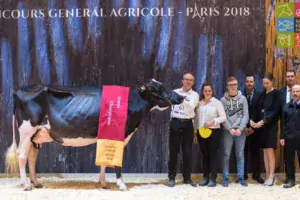 Après avoir été désignée Championne et Meilleure mamelle jeune, Stel Jefa, au Gaec le Druillennec, est sacrée Grande Championne de Paris 2018.
