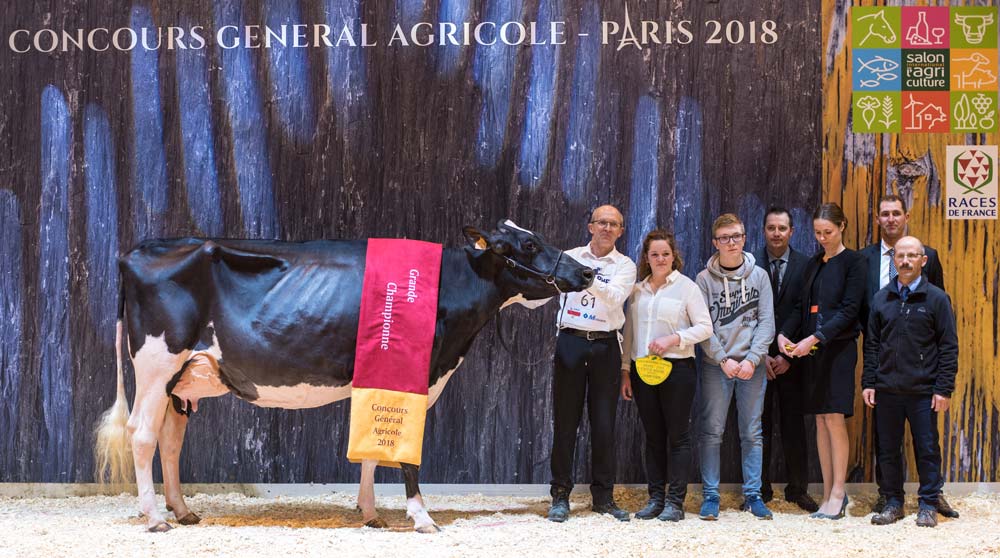 Après avoir été désignée Championne et Meilleure mamelle jeune, Stel Jefa, au Gaec le Druillennec, est sacrée Grande Championne de Paris 2018. - Illustration Concours Prim’Holstein au SIA : Stel Jefa, la jeunesse au pouvoir