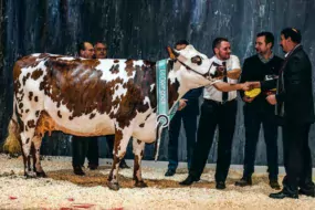 Après le Space en septembre dernier, Hamilton, venue de la Sarthe, est à nouveau couronnée reine du paddock à Paris.