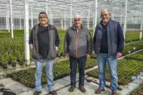 (de gauche à droite) Éric Guillou, chef de culture, Thierry Loas, technicien légumes Triskalia et Michel Thomas, chef d’exploitation.