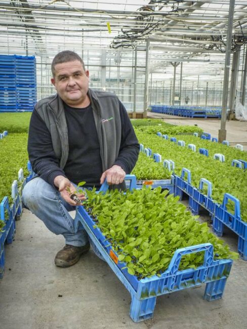 Éric Guillou présente les mini-mottes de betteraves bio, en culture actuellement.