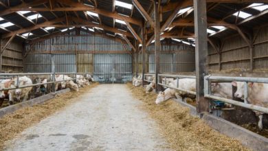 Photo of Un bâtiment économique en litière accumulée
