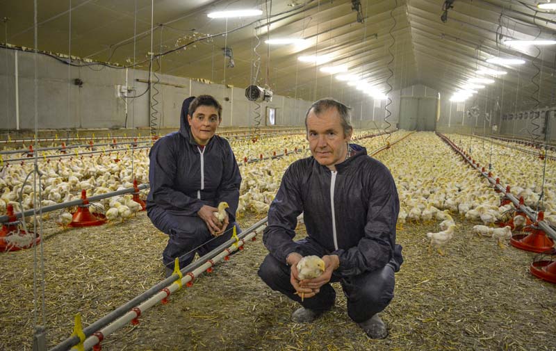 Isabelle et Claude Henry, aviculteurs à Coatascorn (22). - Illustration Le fumier devient un amendement commercialisable