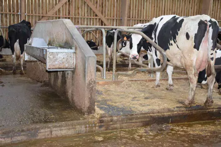 Les murs de séparation et les longrines, au sol, sont fabriqués à l'usine.