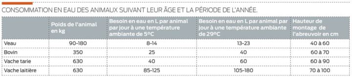 besoin-eau-bovins