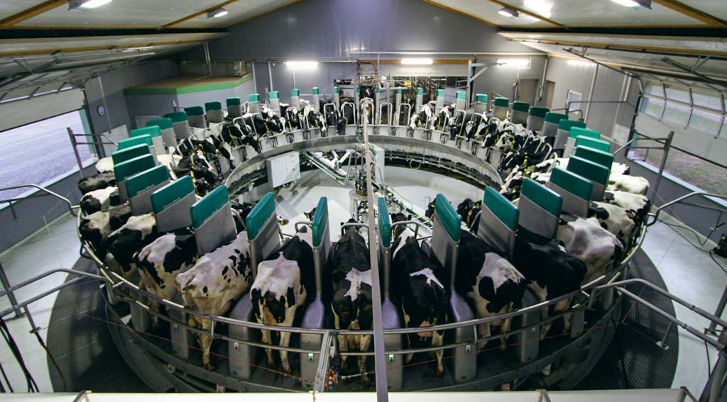 cniel-Salle-de-traite-roto - Illustration Marchés laitiers : des perspectives rassurantes en 2018
