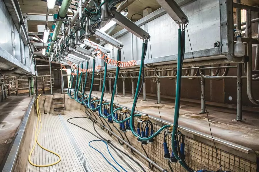 Une largeur de quai minimum de 2,5 m est nécessaire pour installer une stalle TPA en lieu et place d’un ancien épi 30 degrés en conservant le couloir de retour. - Illustration « Une traite rapide et confortable est agréable »