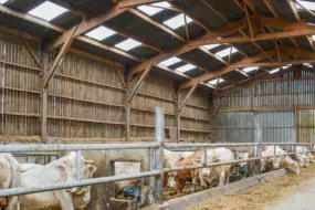 Le fibrociment dans lequel sont insérées des plaques translucides pour la luminosité reste une valeur sûre en Bretagne.