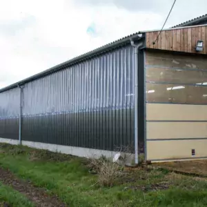 Dans la stabulation, deux couloirs de service de part et d’autre de l’aire paillée.