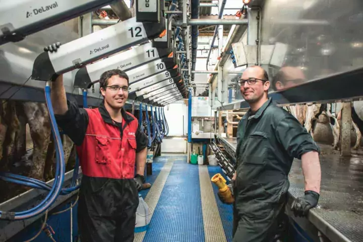 « La fosse n’est pas très large, mais nous n’avons pas à nous déplacer pour basculer le faisceau d’un quai à l’autre. Même si la salle de traite est longue, nous ne marchons pas beaucoup », expliquent Hubert et Ludovic Madec.