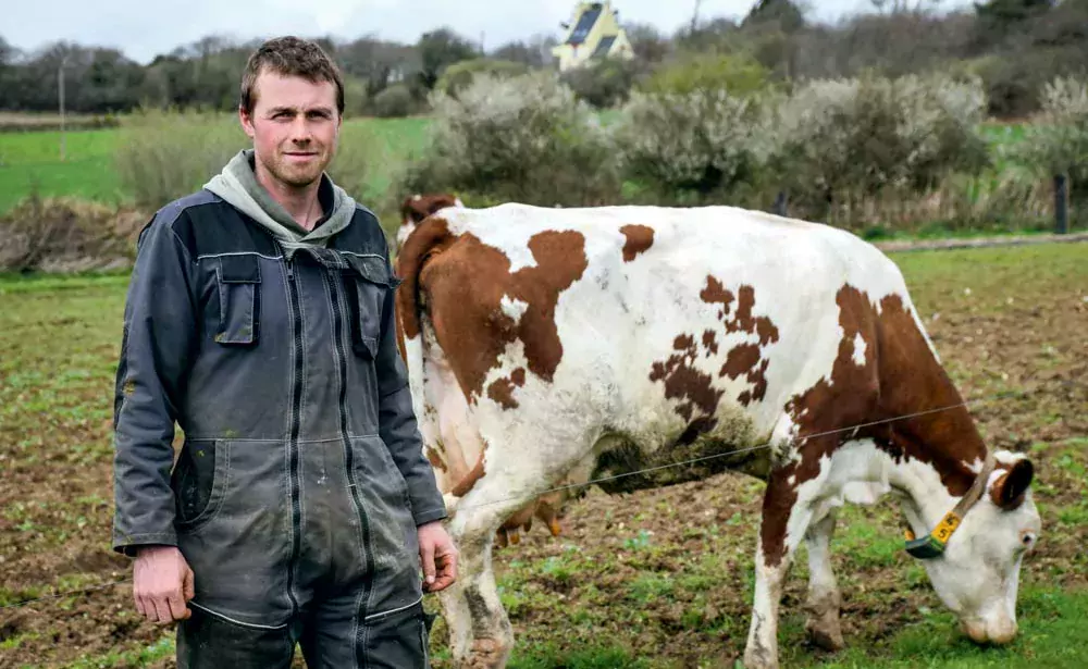 Après avoir travaillé comme salarié au sein d'exploitations et d'entreprises de travaux agricoles, Fabrice Marchadour s'est installé sur une ferme laitière, à Plomodiern. - Illustration Une conversion bio logique et réfléchie