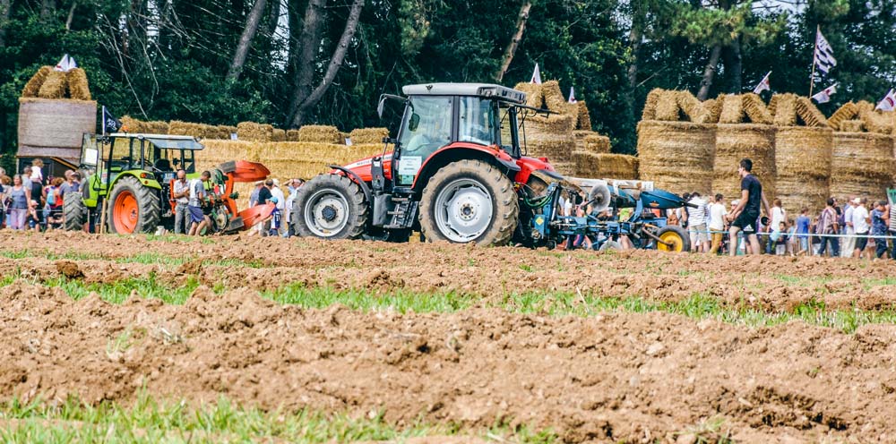 Fete-agriculture - Illustration Terres de Jim : des réunions d’informations pour les bénévoles