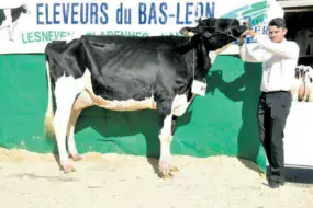 Jobi a été sacré Super championne et Meilleure mamelle jeune.