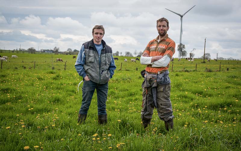 Plantées sur 2 ha, les betteraves complètent bien les 65 ha d’herbe de l’exploitation de Vincent et Jean-François Blot (à gauche). - Illustration Betterave plantée en système bio