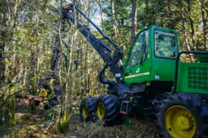 La forêt morbihannaise représente 19% du territoire, contre seulement 12 à 13 % dans les départements voisins, mais elle est très morcelée.