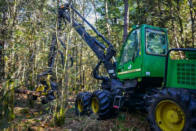 La forêt morbihannaise représente 19% du territoire, contre seulement 12 à 13 % dans les départements voisins, mais elle est très morcelée. - Illustration Se regrouper pour vendre son bois