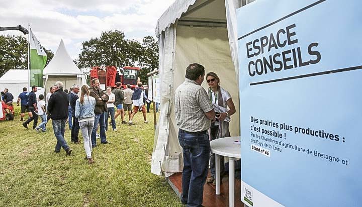 espace-conseil-salon-herbe