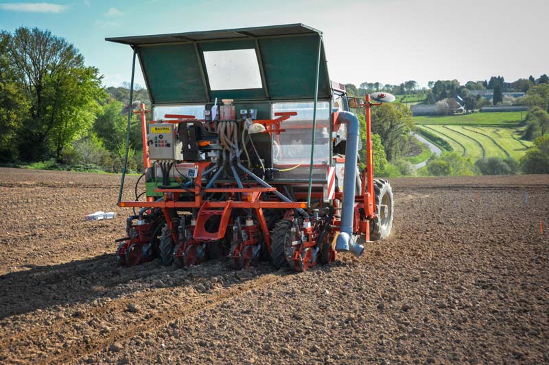 Le semoir spécifique est équipé pour semer à 80 cm d’écartement, afin de répondre à la largeur des machines de récolte, montée en 2 rangs. - Illustration Expérimenter la fertilisation phosphorée