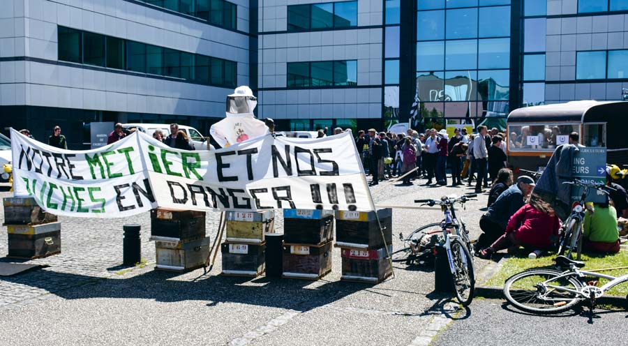 Vendredi 4 mai, les ruches vides devant la Chambre d’agriculture à Rennes (35). - Illustration Demande d’un plan d’urgence pour les apiculteurs