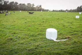 Le « bale grazing » consiste à diviser grâce aux clôtures une surface de prairie en petits paddocks où les animaux effectuent un court séjour et à déposer une botte d’enrubanné dans chaque « case » pour faire office de râtelier de complément.