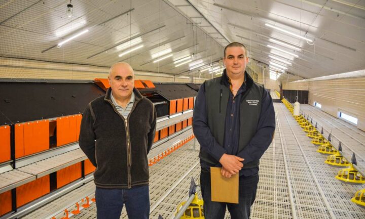 Guy Daniel et Gaëtan Guillerm, aviculteurs à Saint-Servais (22)