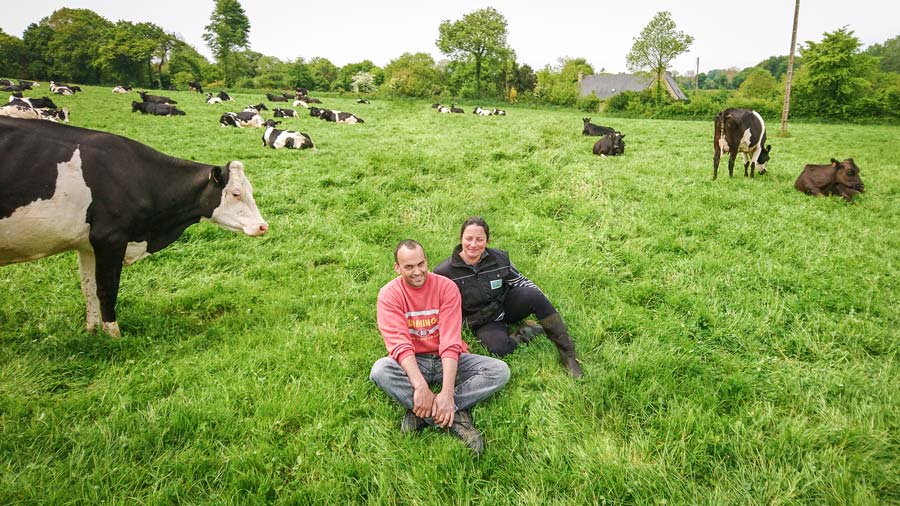 Leurs 64 vaches laitières de Mathieu et Soizic Le Fustec sont en pâturage plat unique depuis fin avril. Il est prévu qu’elles le restent jusqu’à mi-octobre. - Illustration Gérer ses stocks d’herbe en combinant pâturage et fauche