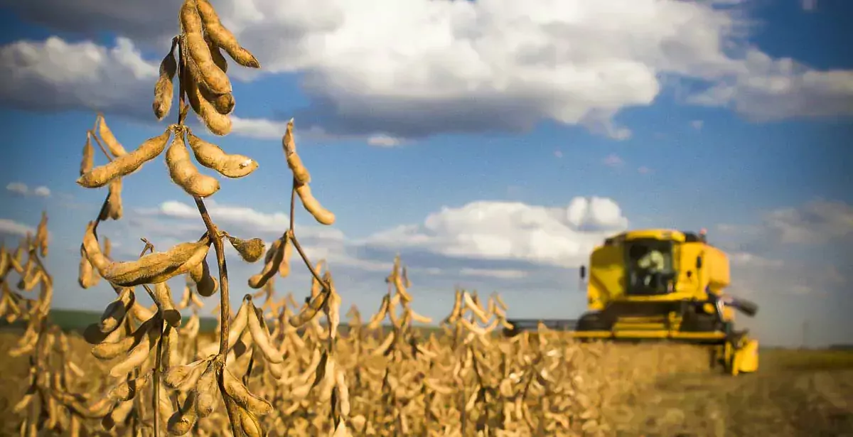 soja-tourteau-moisson - Illustration UE/ États-Unis : le soja pour apaiser les tensions commerciales