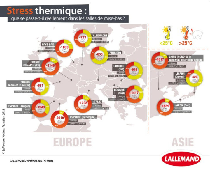 Enquête sur les risques de stress thermique dans les salles de maternité en Europe et Asie. Pourcentage du temps moyen quotidien passé au-dessus de 25 °C (stress thermique significatif) et estimation de la baisse d’ingéré associée (Lallemand Animal Nutrition, 2016-2018, données internes).