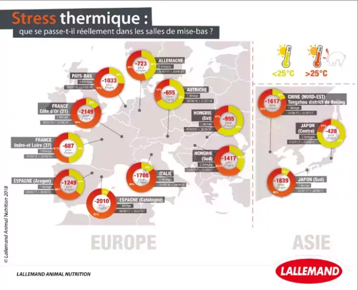Enquête sur les risques de stress thermique dans les salles de maternité en Europe et Asie. Pourcentage du temps moyen quotidien passé au-dessus de 25 °C (stress thermique significatif) et estimation de la baisse d’ingéré associée (Lallemand Animal Nutrition, 2016-2018, données internes).