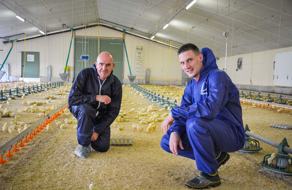 Pierre Triballier, responsable technique chez Systel, et Nicolas Quéro, aviculteur à Trévé. - Illustration La combustion indirecte diminue l’hygrométrie