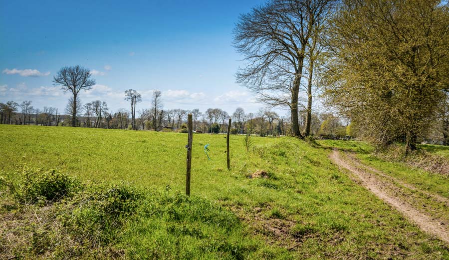 chemin-cloture-haies-bois - Illustration Aides du Département 35 au pâturage et à l’agroforesterie