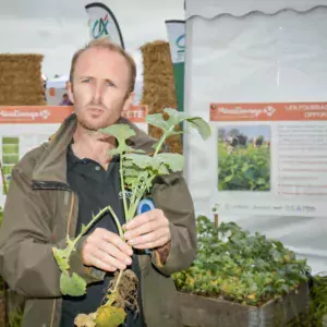 Gilles Crocq, Seenovia