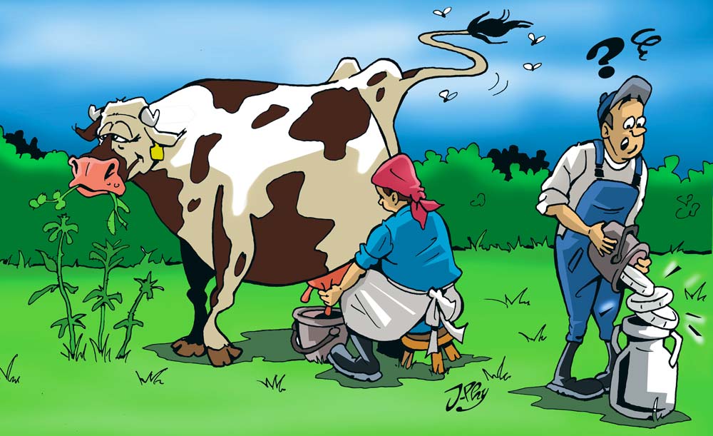 amour-vache - Illustration L’amour vache