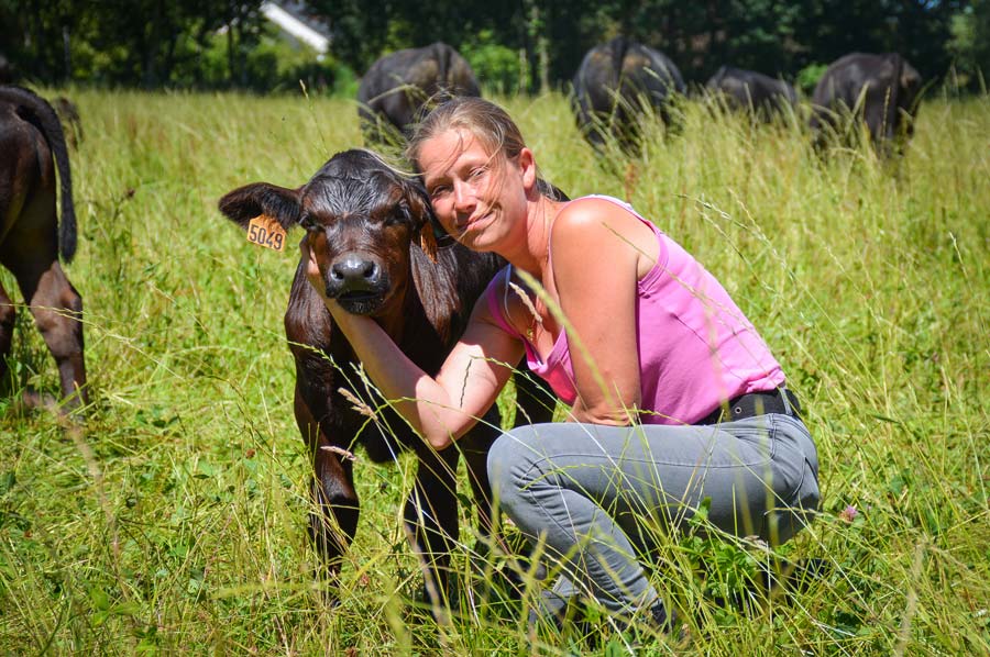 Caroline Wilvers entretient beaucoup de proximité avec ses animaux. - Illustration L’Aberdeen Angus, dans l’air du temps