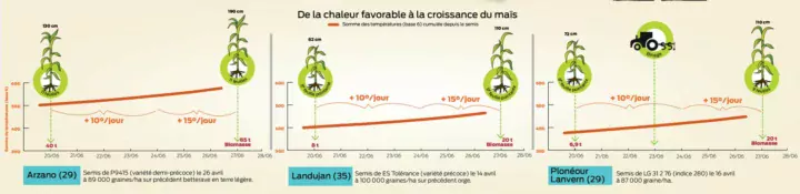 chaleur-croissance-mais